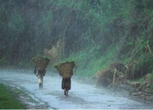 Visit Northeast India in the Rains
