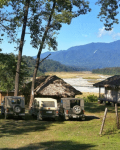 Untitled design (10)