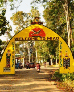 Untitled design (16)