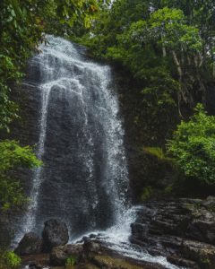 Untitled design (17)