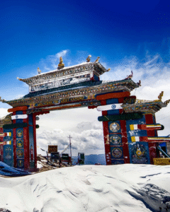 Untitled design (30)