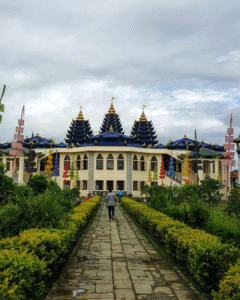 Untitled design (31)