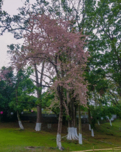 Untitled design (35)