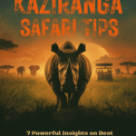 Kaziranga National Park Safari Tips